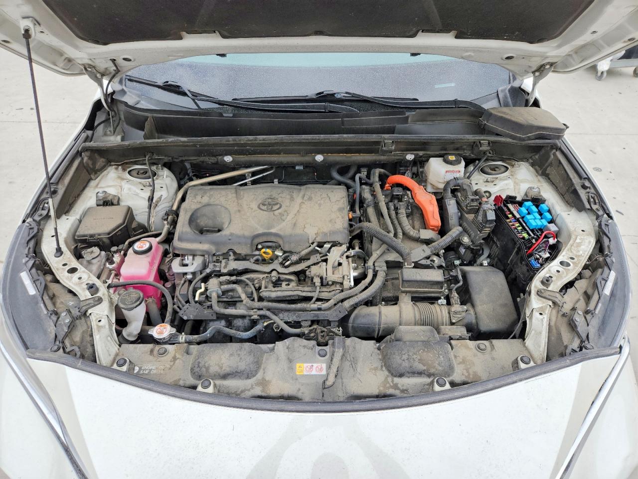 Toyota Venza Xle