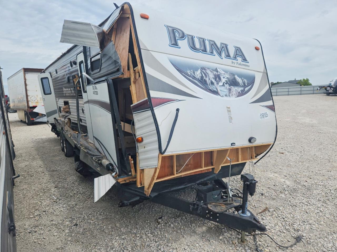 Salvage Puma Palamino Image