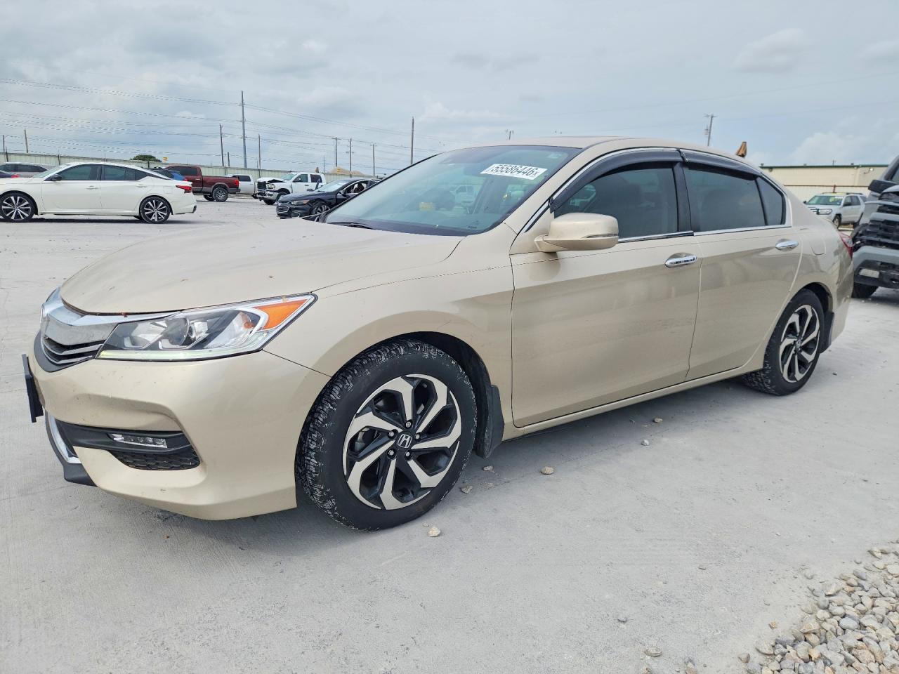 Salvage Honda Accord Image