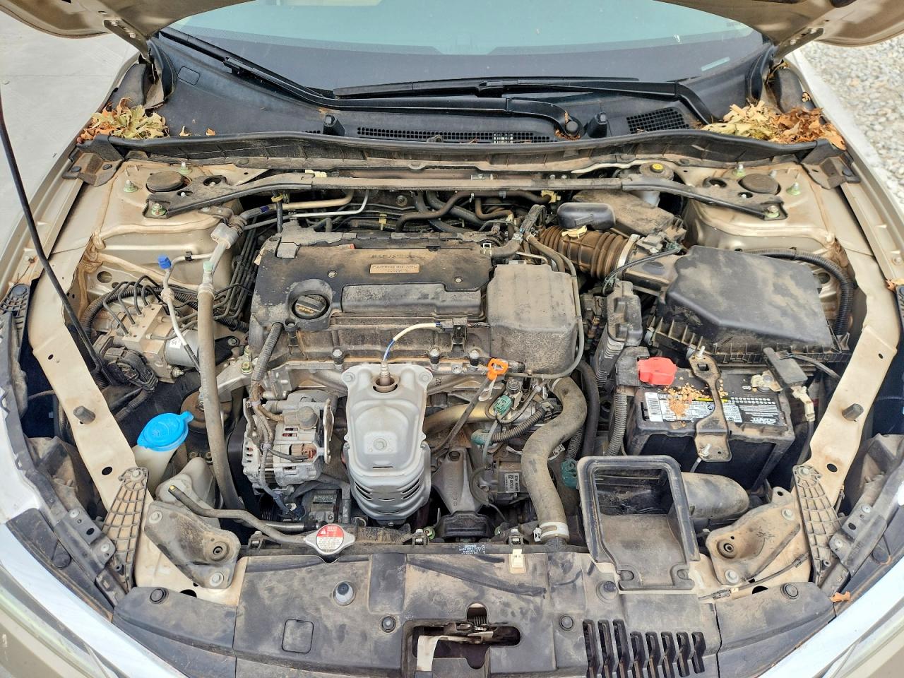Honda Accord Ex