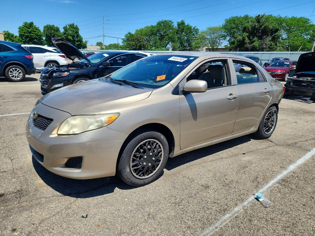 Salvage Toyota Corolla Image