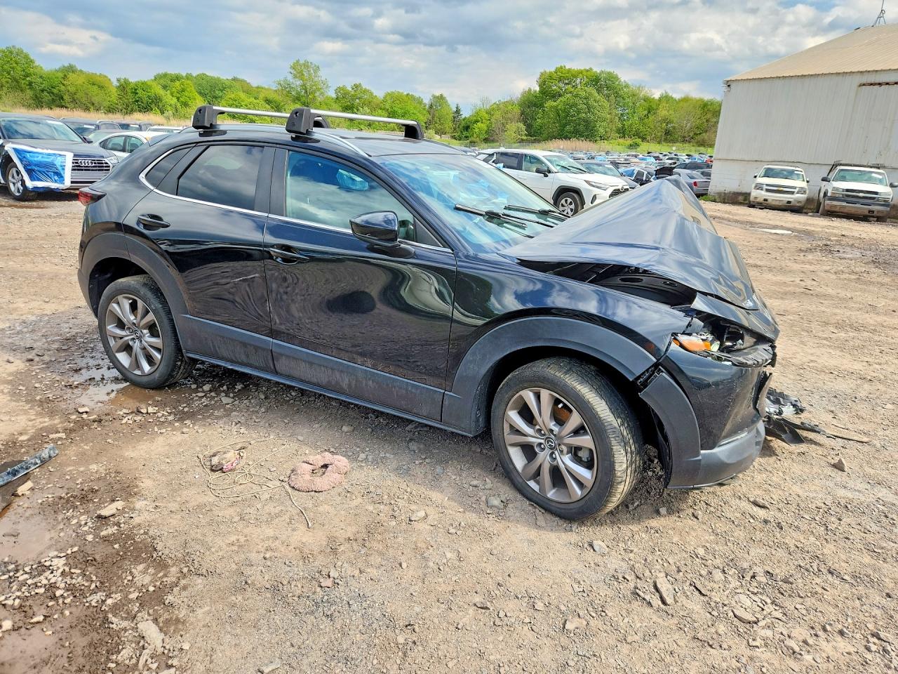 Mazda Cx Preferred