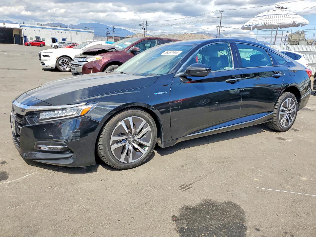 Salvage Honda Accord Image