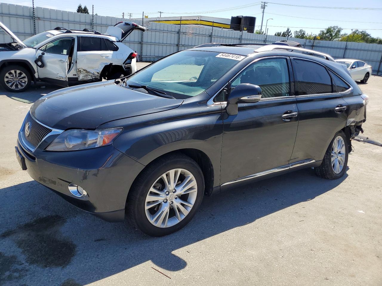 Salvage Lexus RX Image