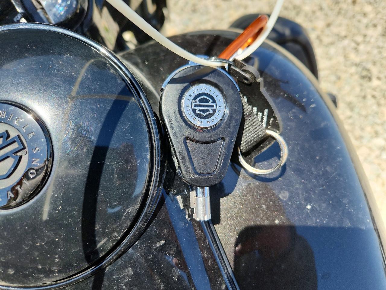 Harley-Davidson Flse Cvo Limited