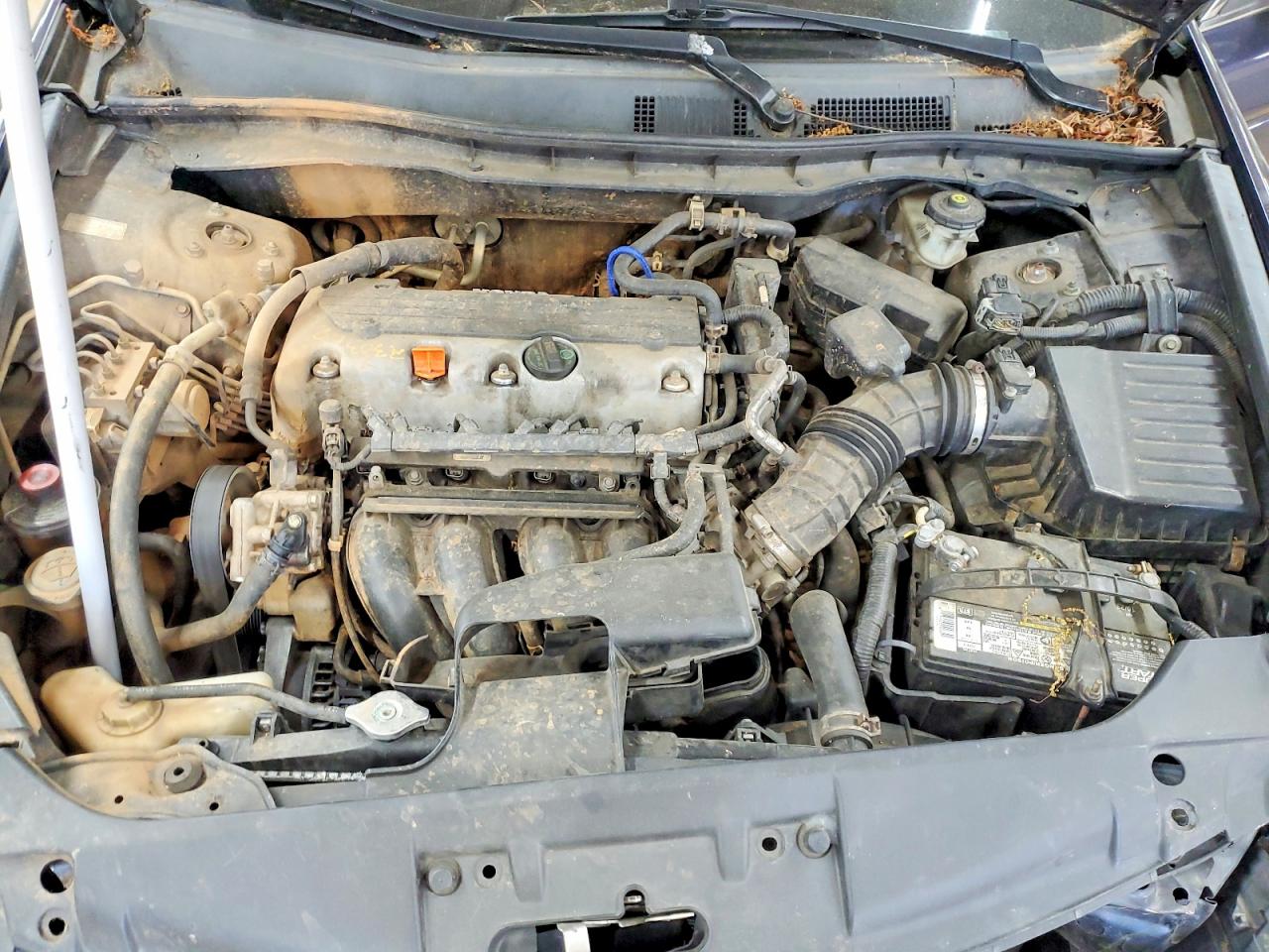 Honda Accord Lxp