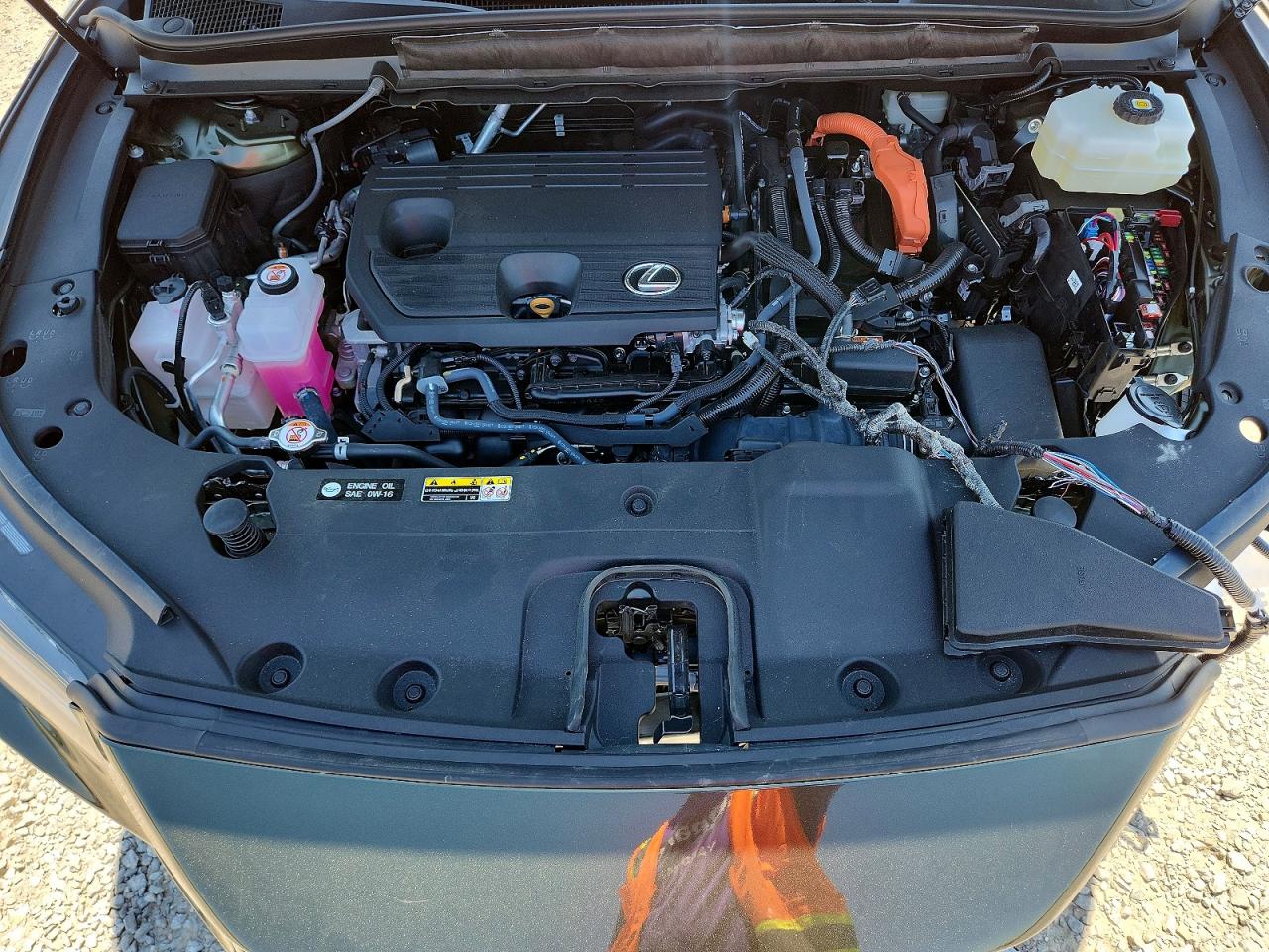 Lexus Other Premium+