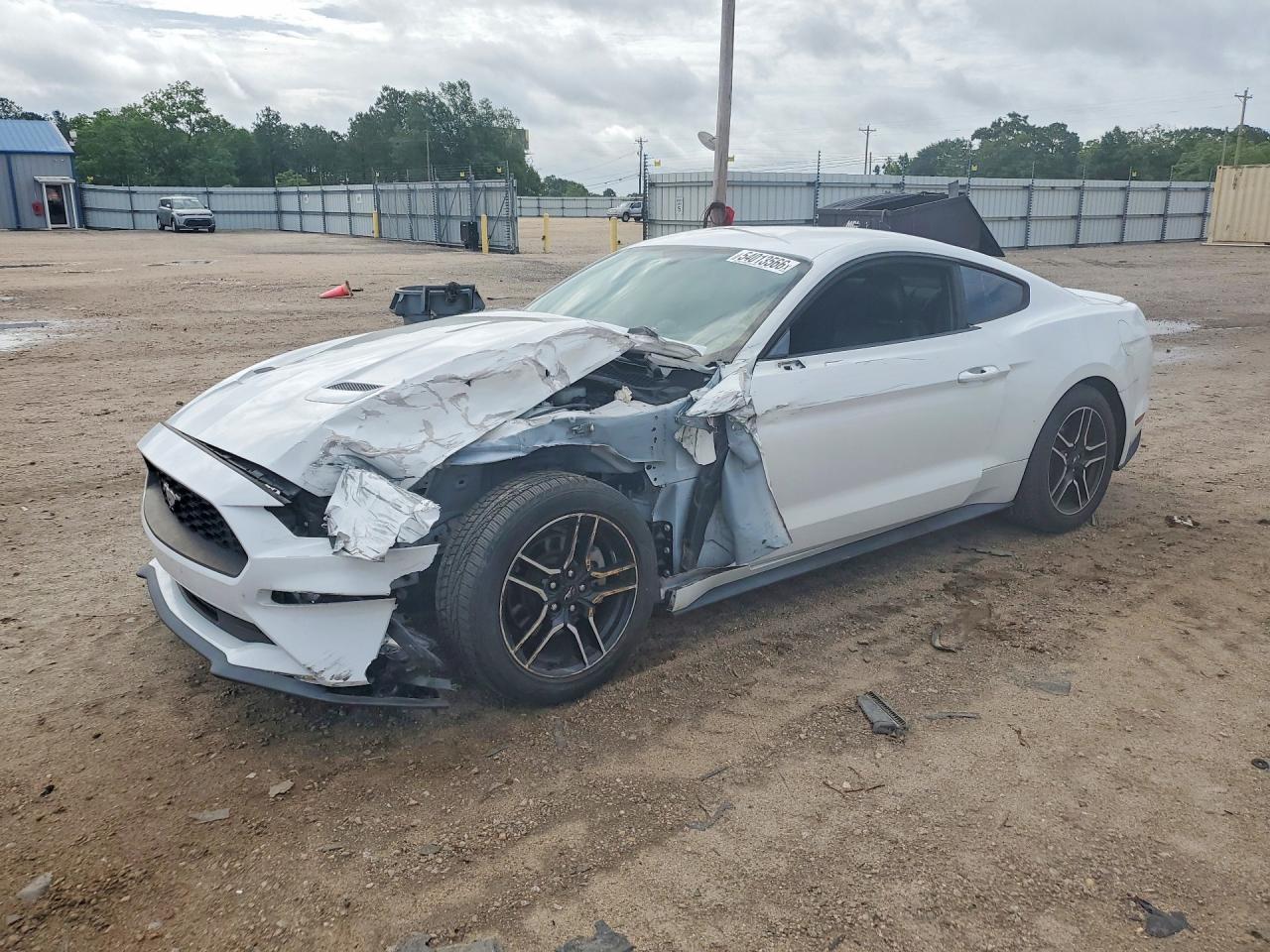Salvage Ford Mustang Image
