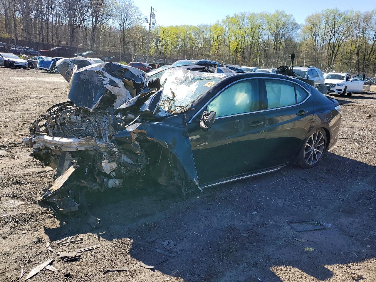 Salvage Acura TLX Image