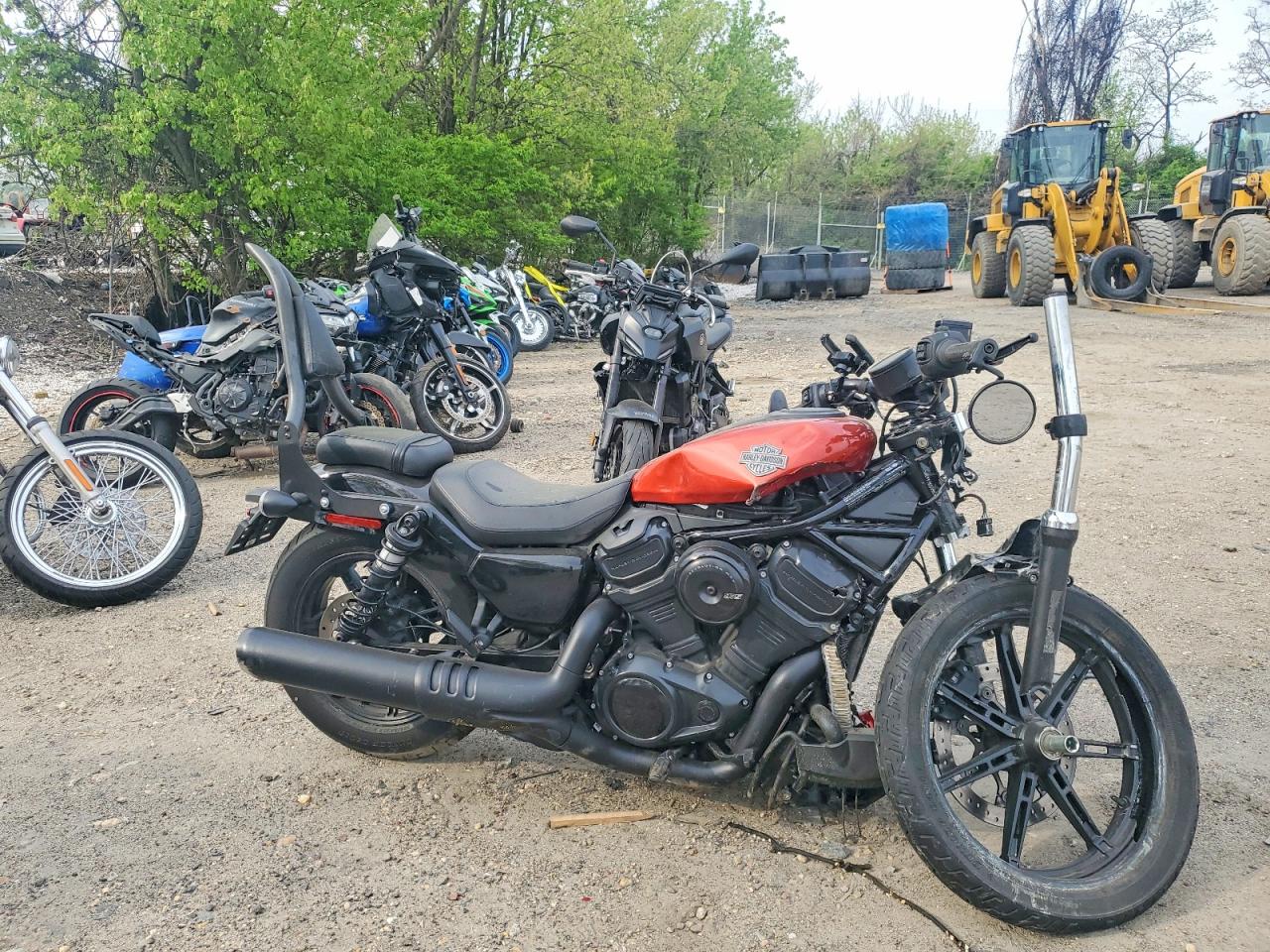 Salvage Harley-Davidson Rh975 Image