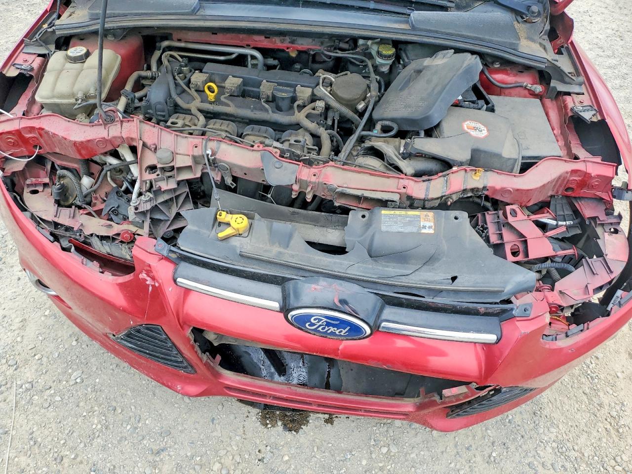 Ford Focus Se