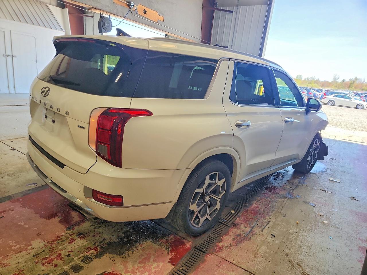 Hyundai PALISADE Calligraphy