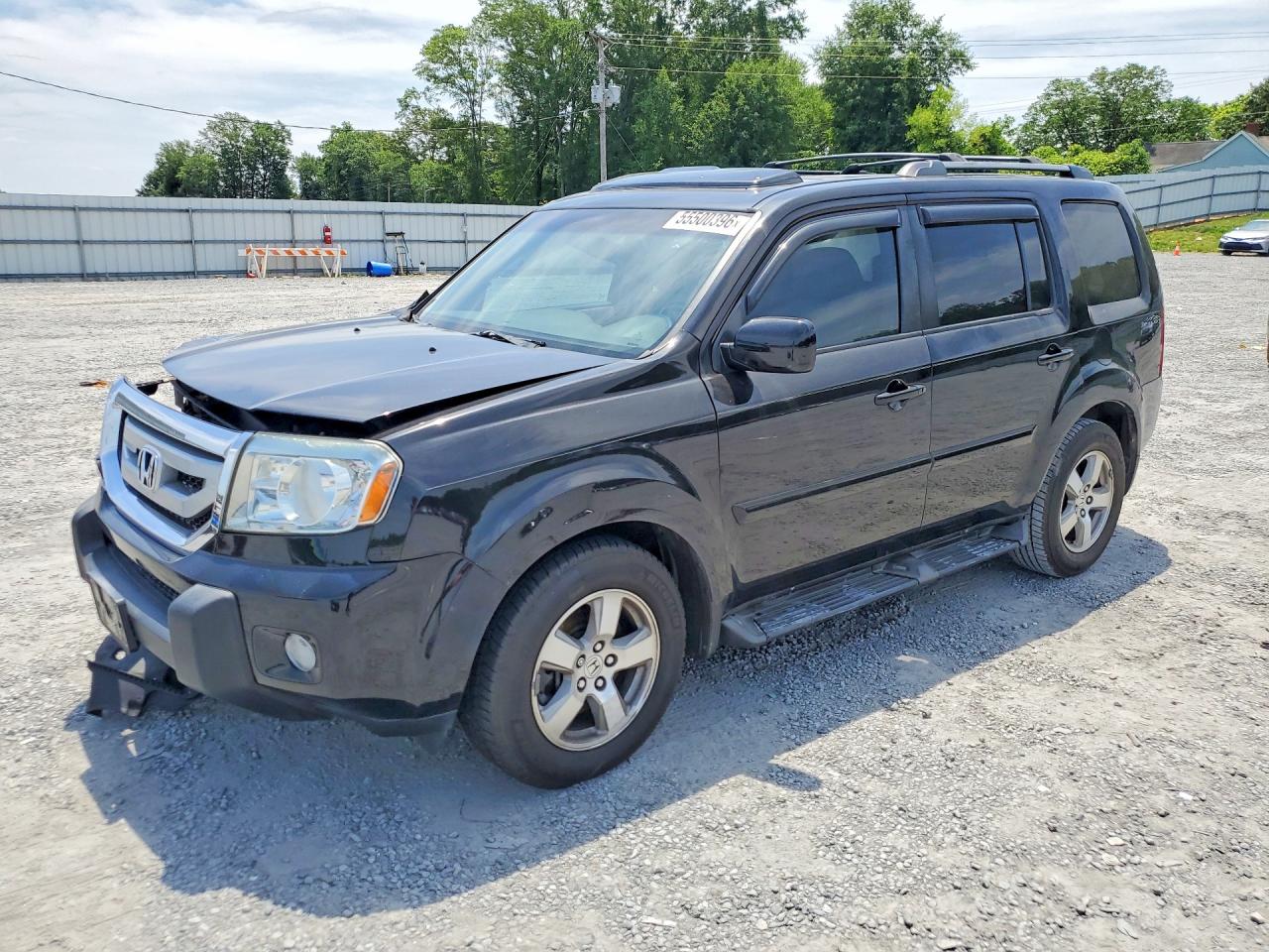 Salvage Honda Pilot Image