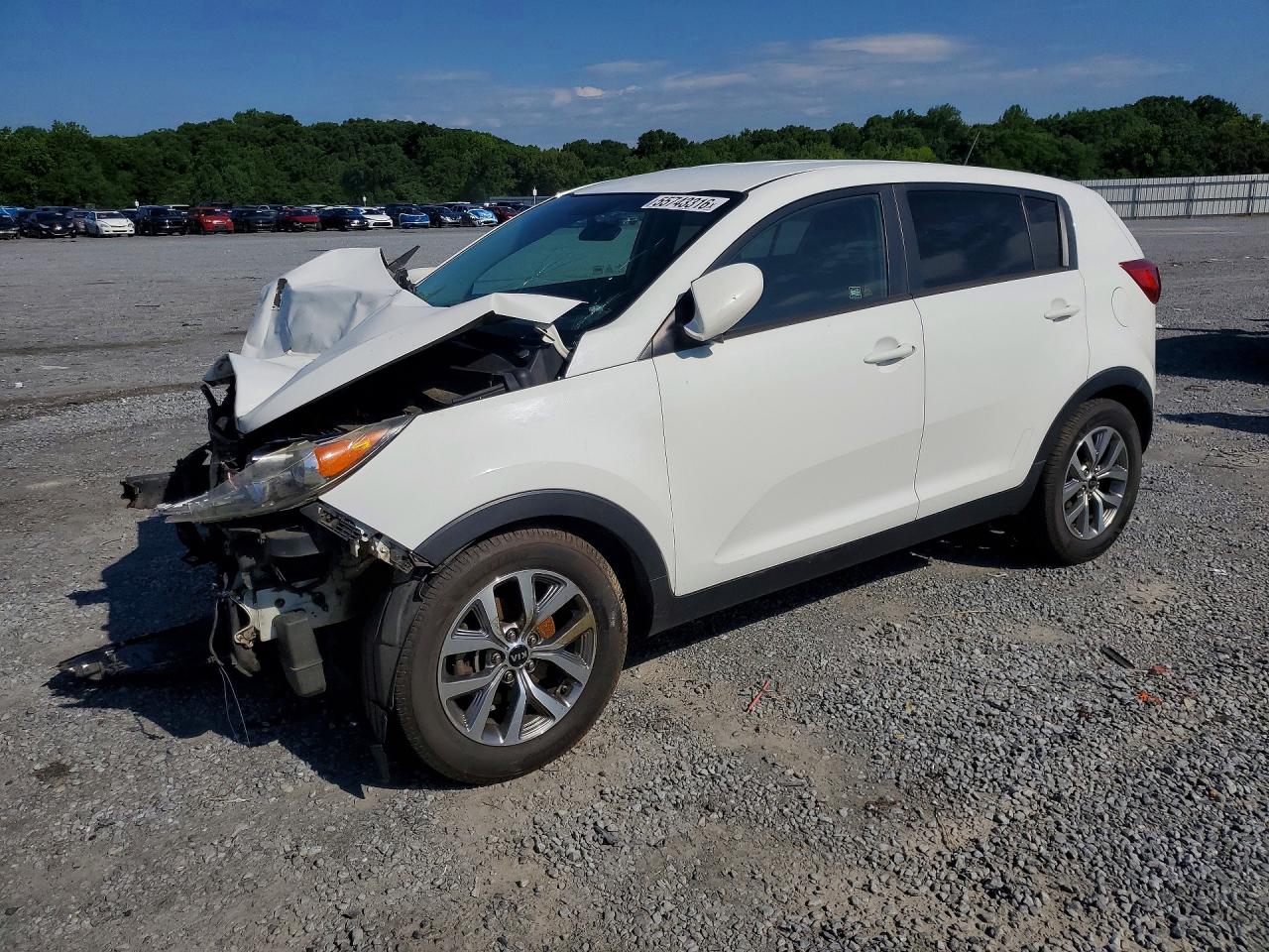 Salvage Kia Sportage Image