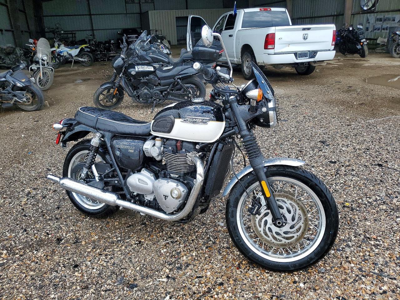Salvage Triumph Bonneville Image