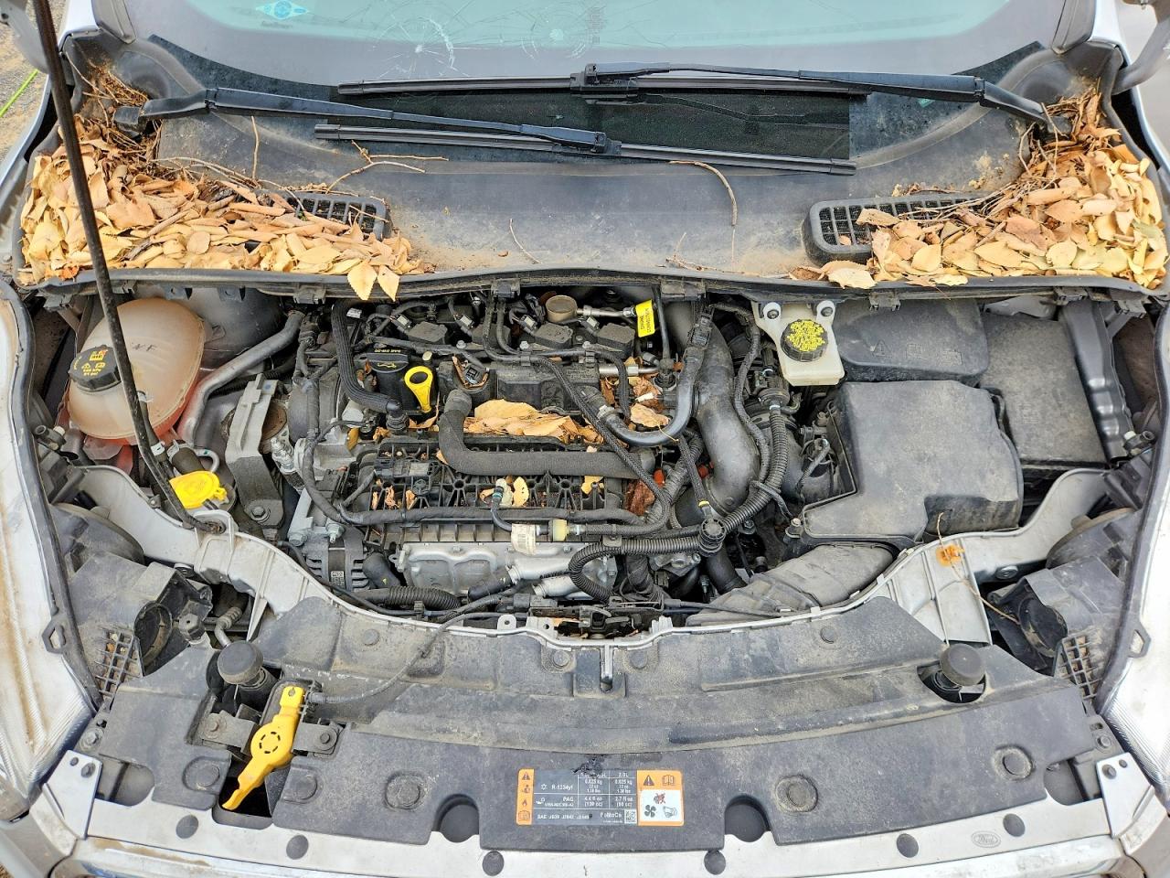 Ford Escape Se