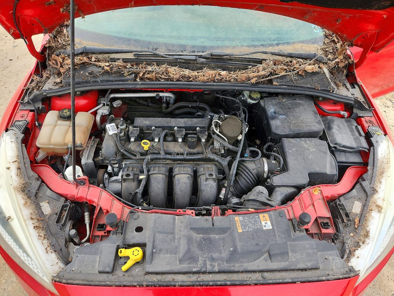 Ford Focus Se
