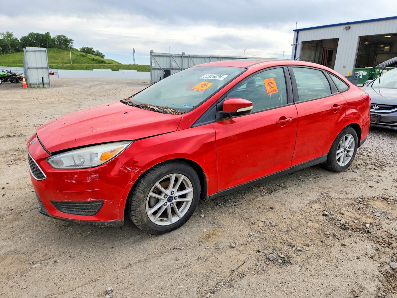 Salvage Ford Focus Image