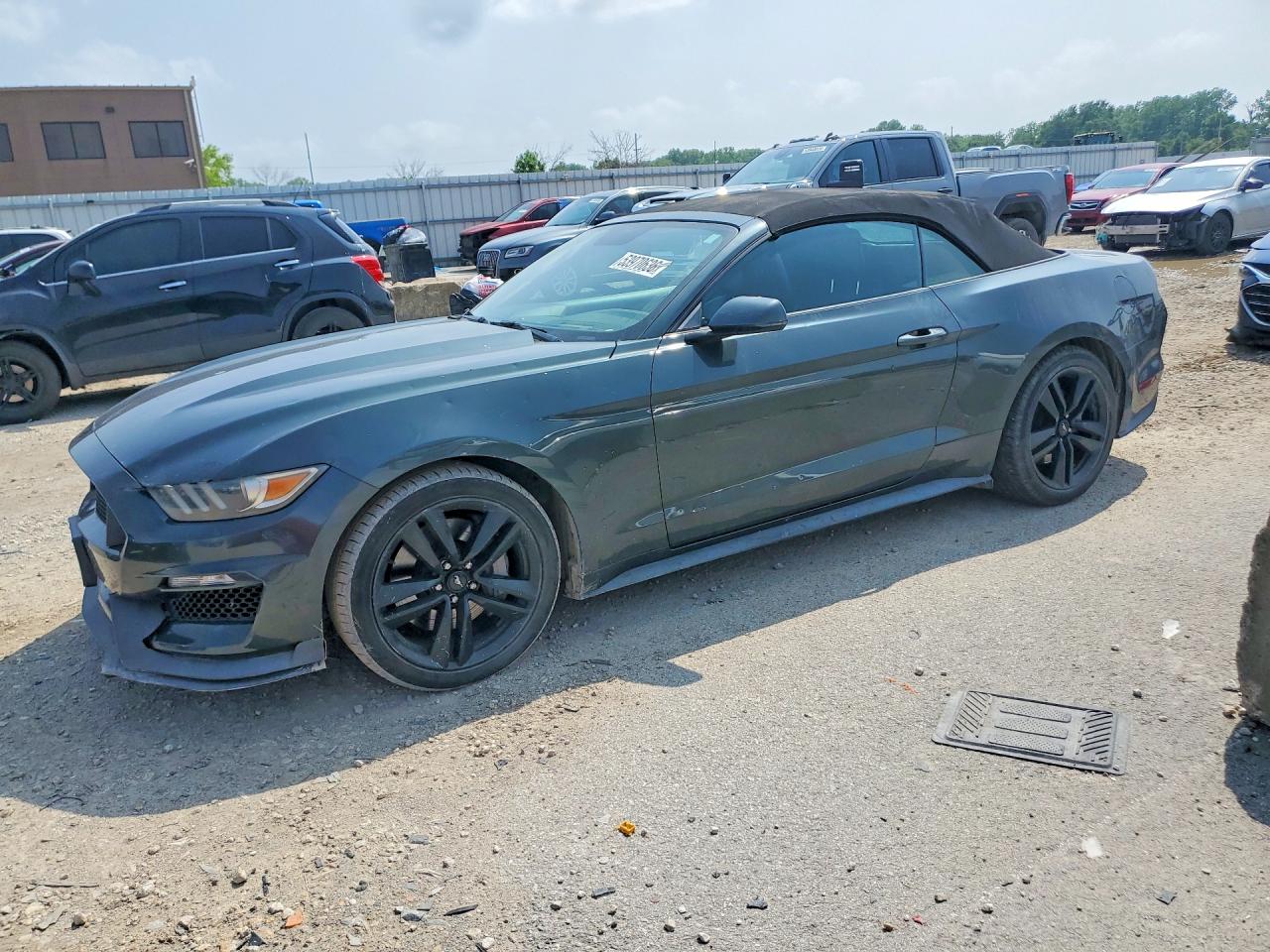 Salvage Ford Mustang Image