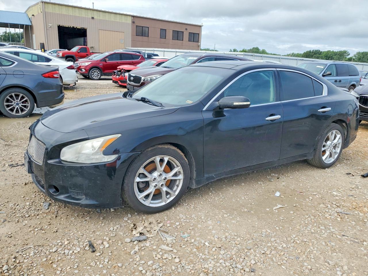 Salvage Nissan Maxima Image
