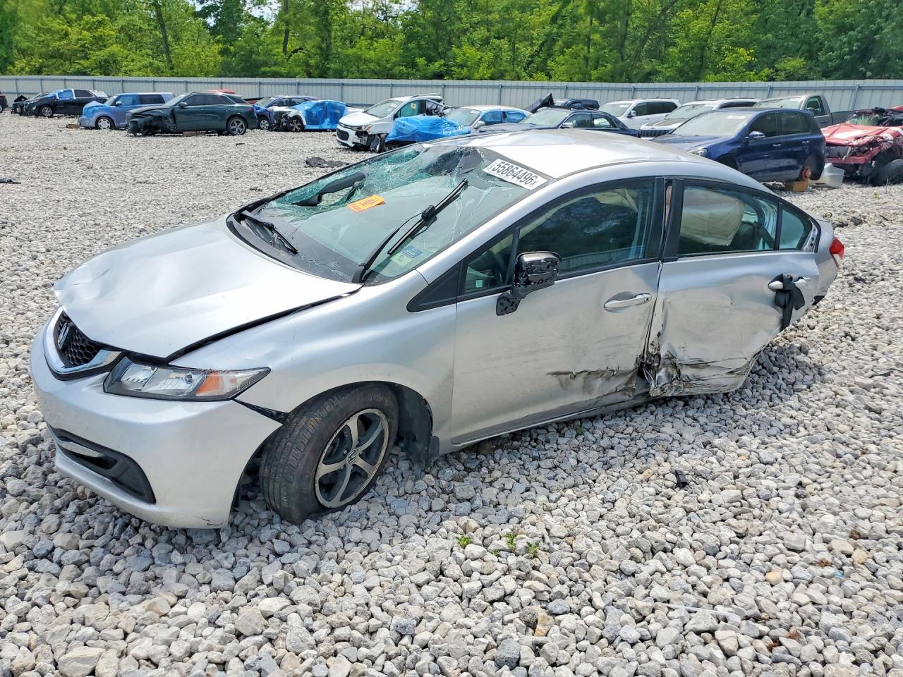 Salvage Honda Civic Image
