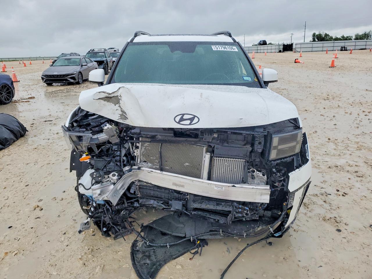 Hyundai SANTA FE Calligraphy