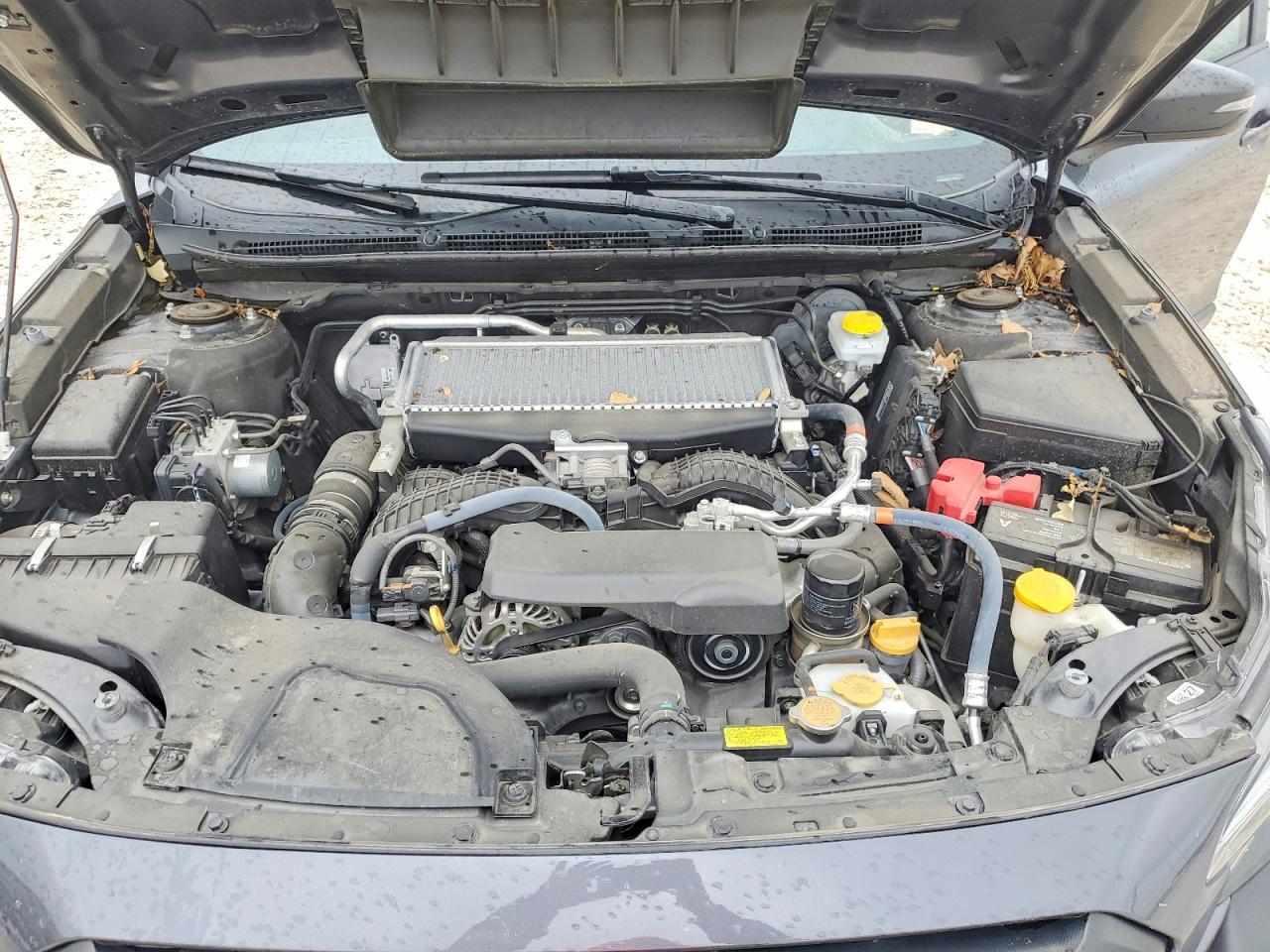 Subaru Outback Wilderness