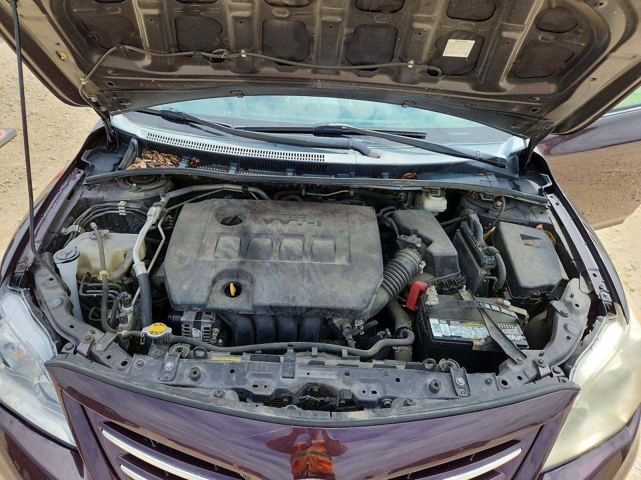 Toyota Corolla Le Special Edition