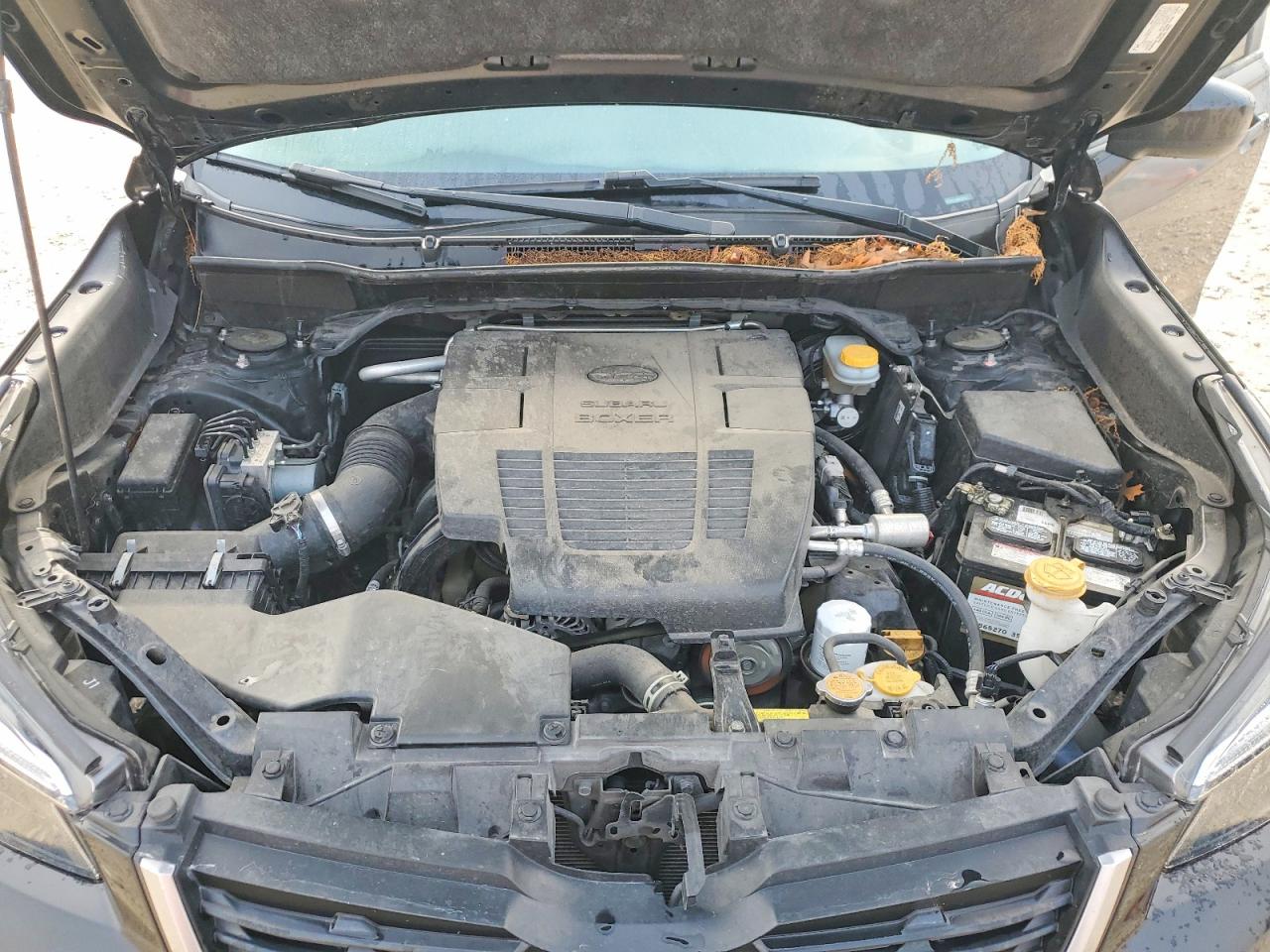 Subaru Forester Premium