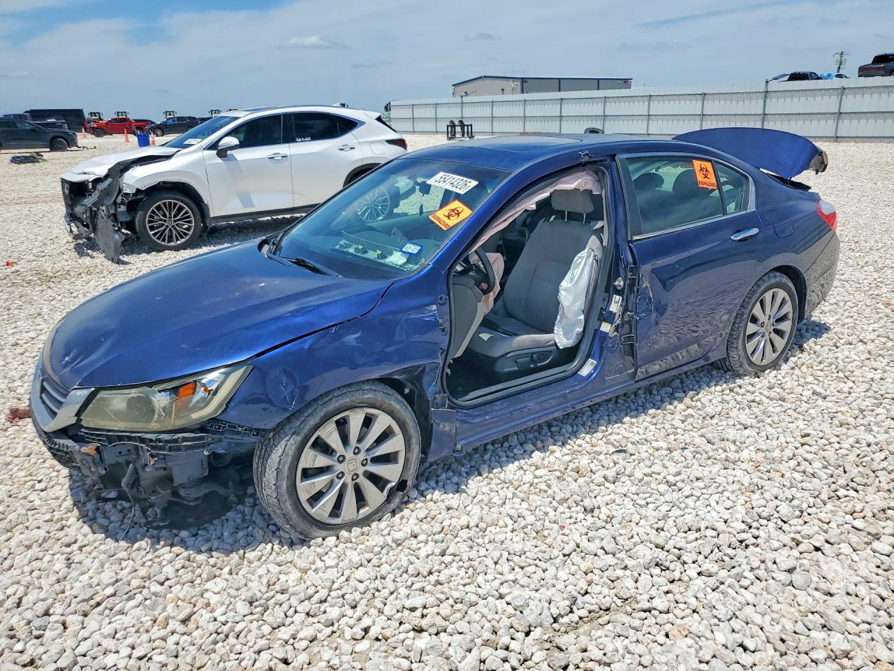 Salvage Honda Accord Image