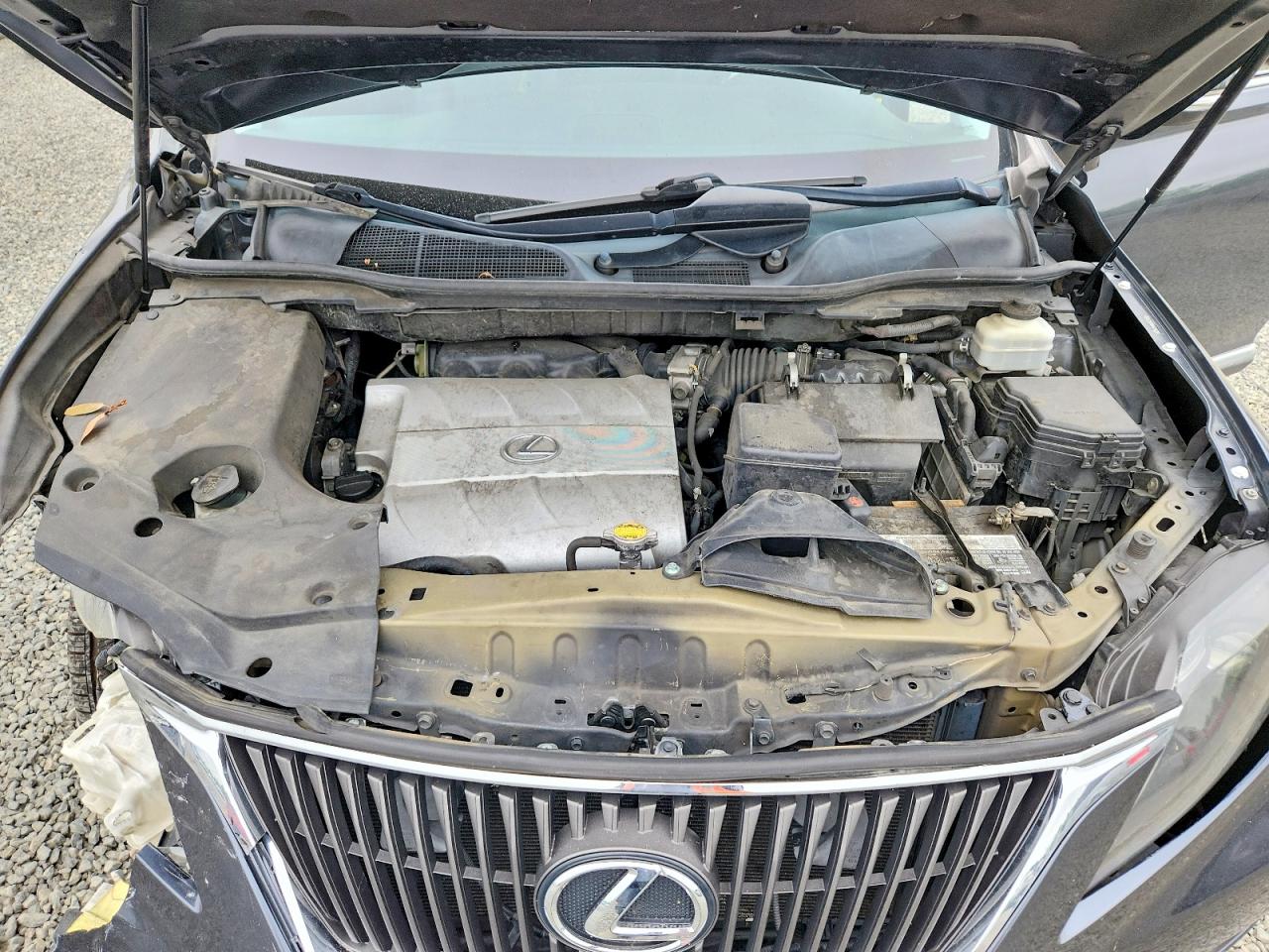 Lexus RX 350