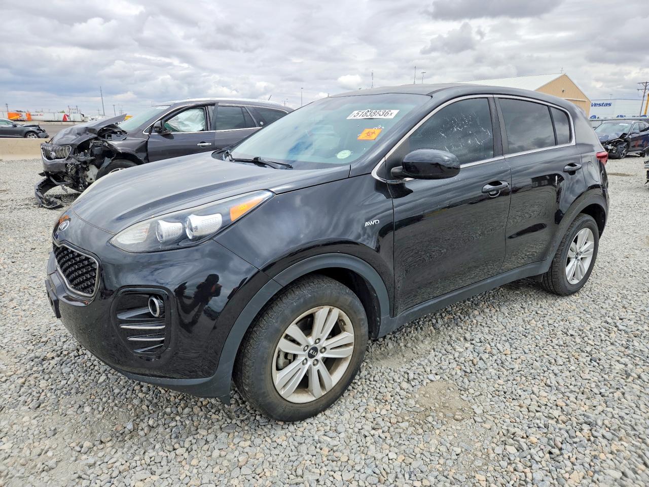 Salvage Kia Sportage Image