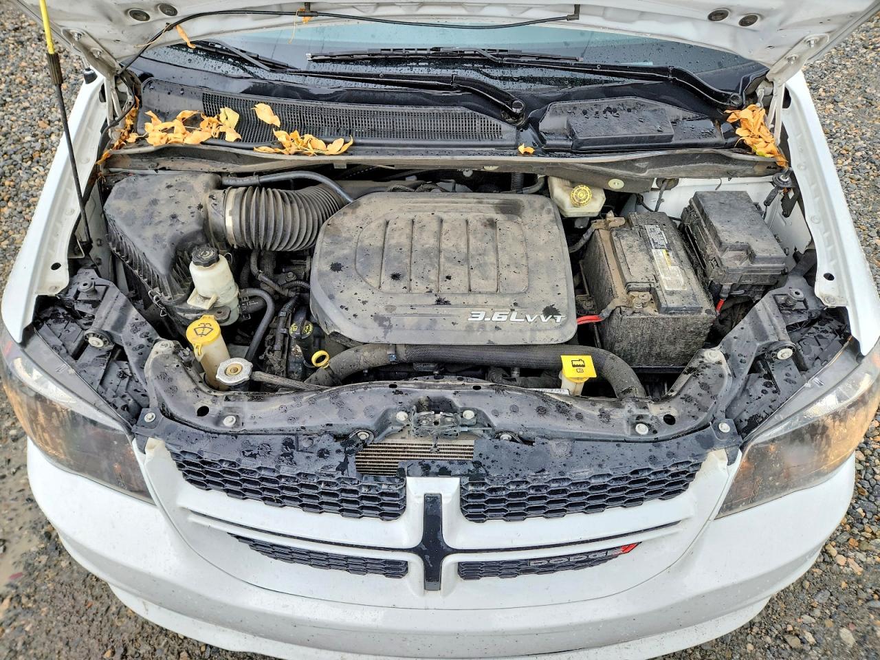 Dodge Caravan Gt