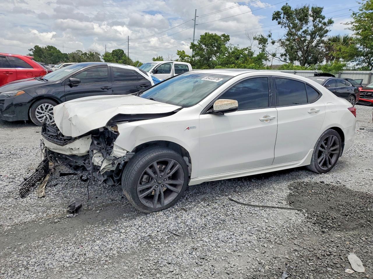 Salvage Acura TLX Image