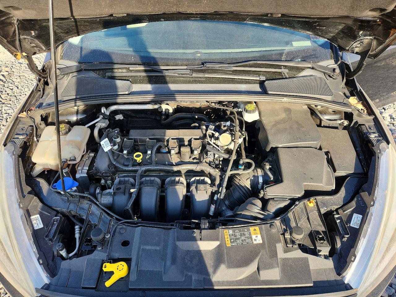 Ford Focus Se