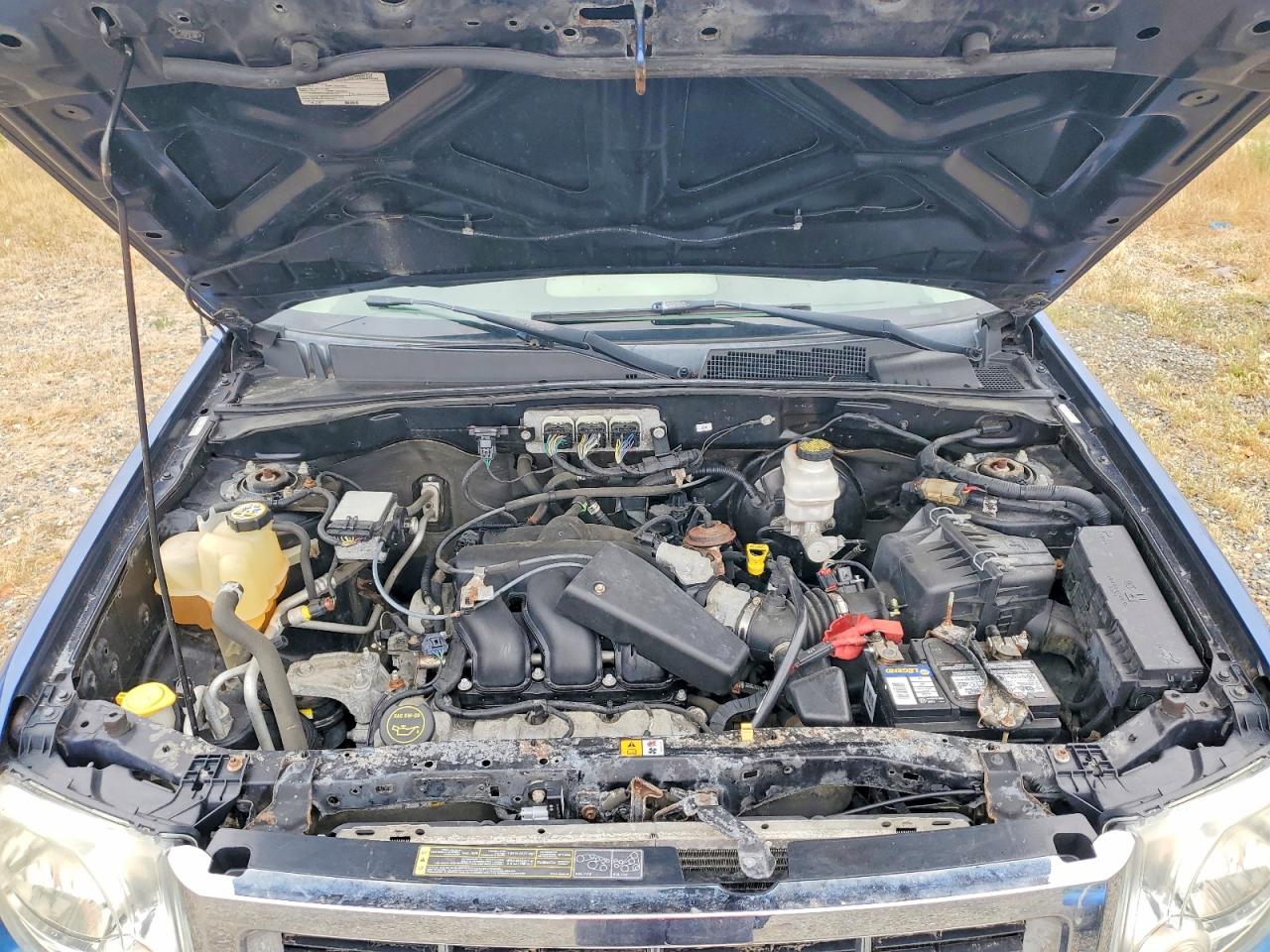 Ford Escape Xlt