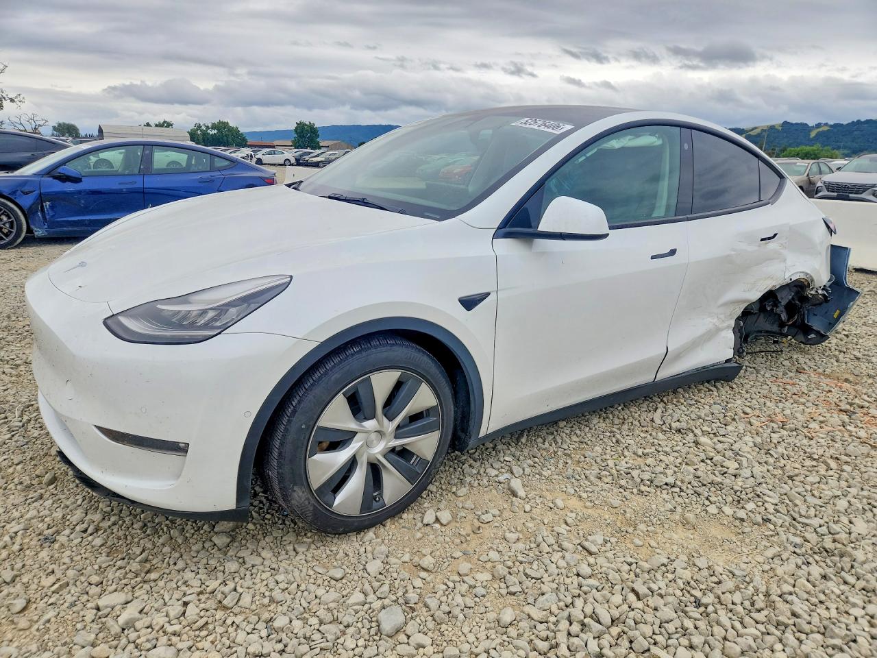 Salvage Tesla Model Y Image