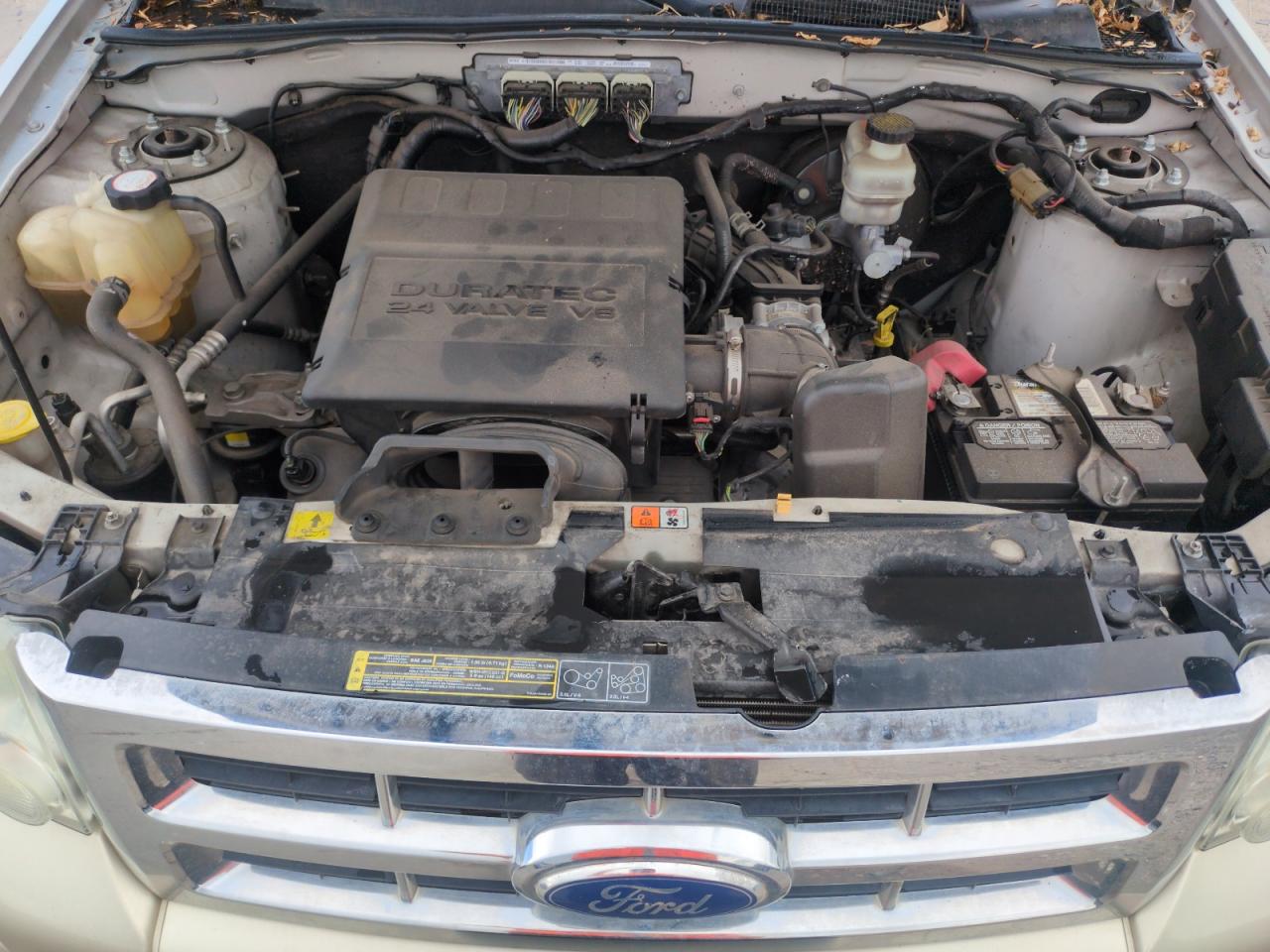 Ford Escape Xlt