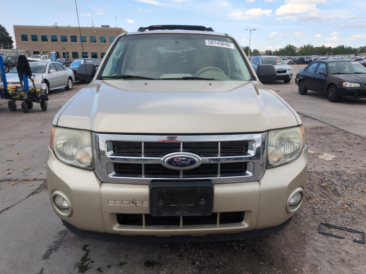 Ford Escape Xlt