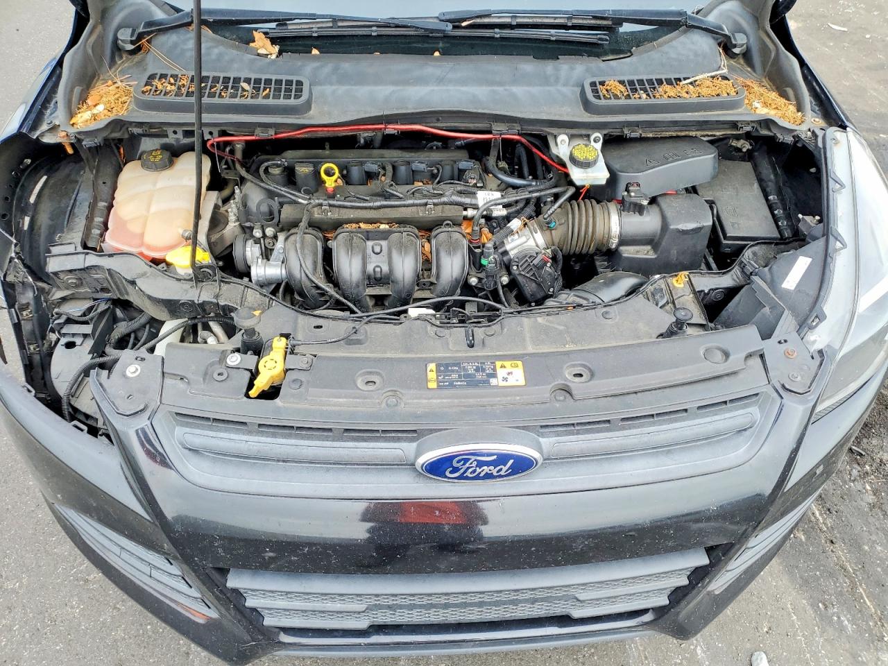 Ford Escape S