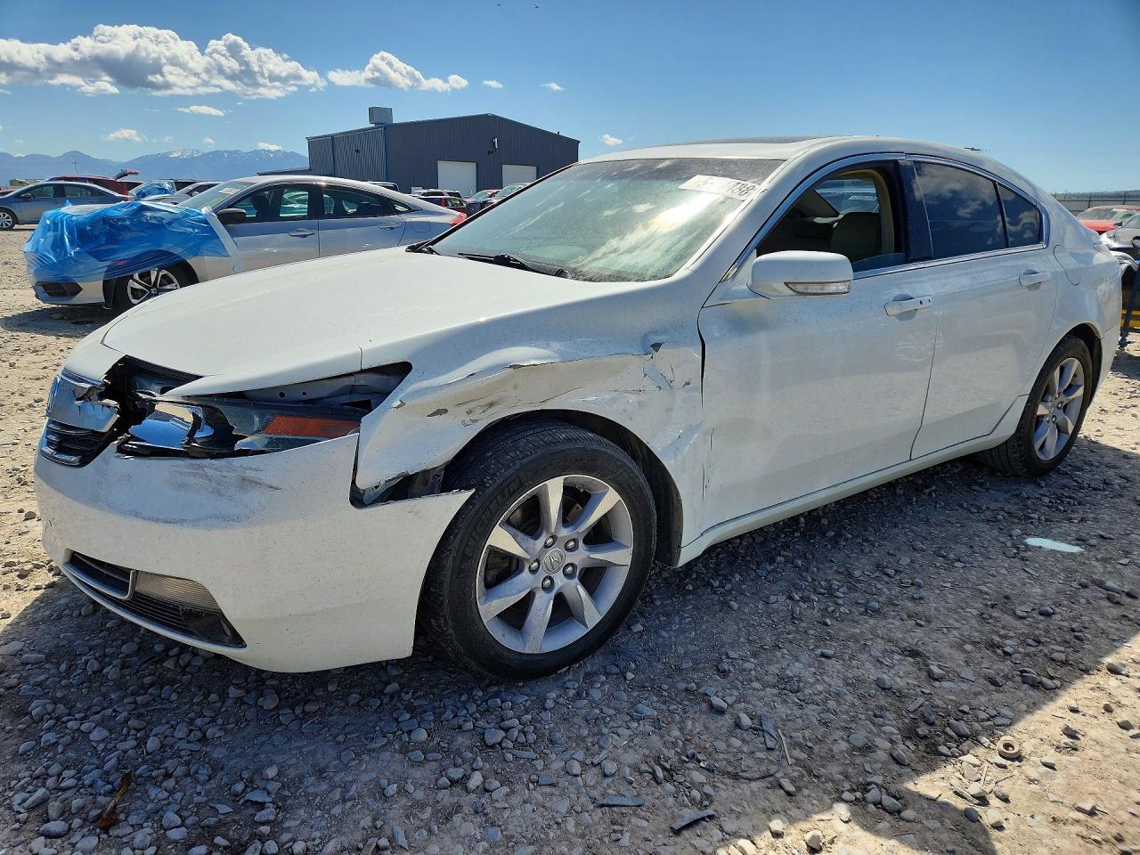 Salvage Acura TL Image