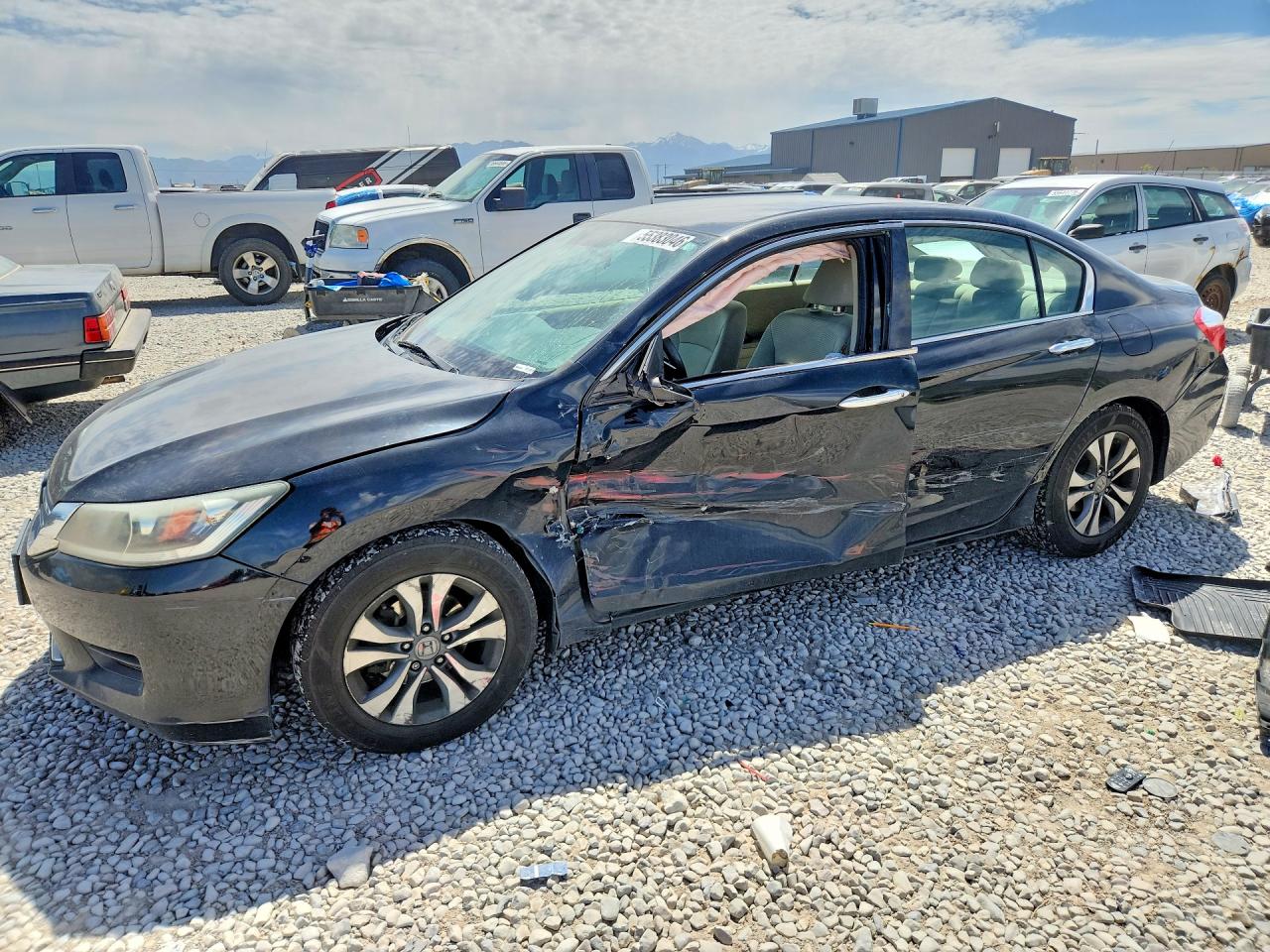 Salvage Honda Accord Image