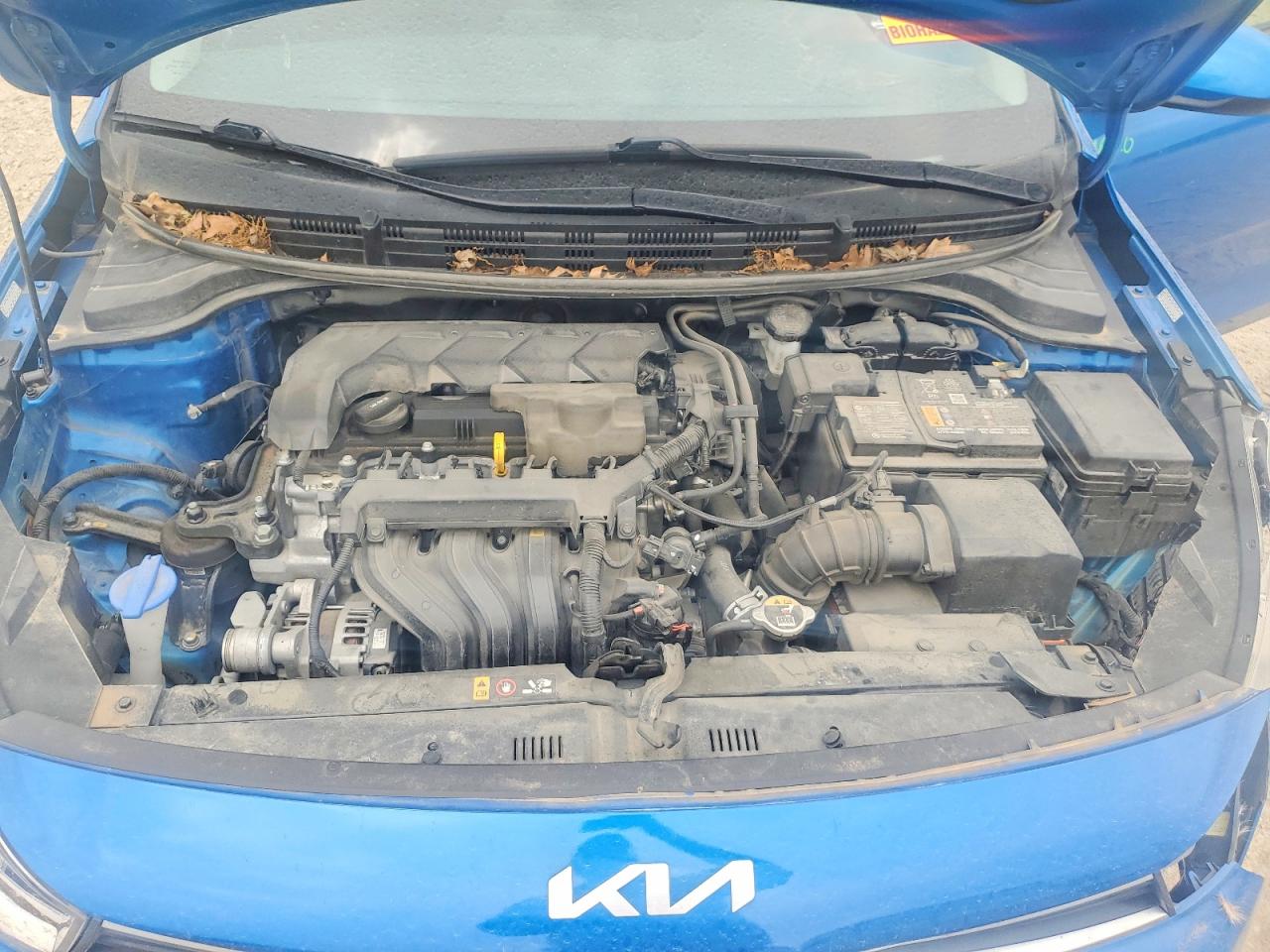 Kia Rio S