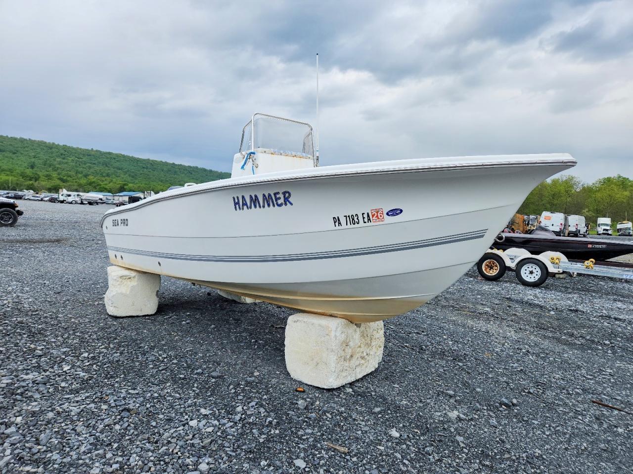 Salvage Sea Ray Boat Image