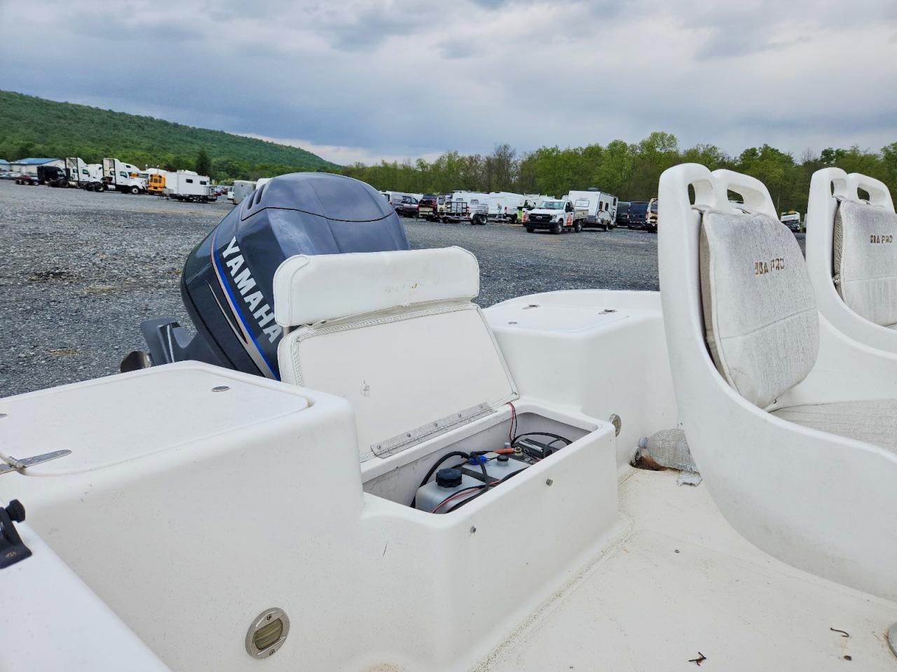 Sea Ray Boat