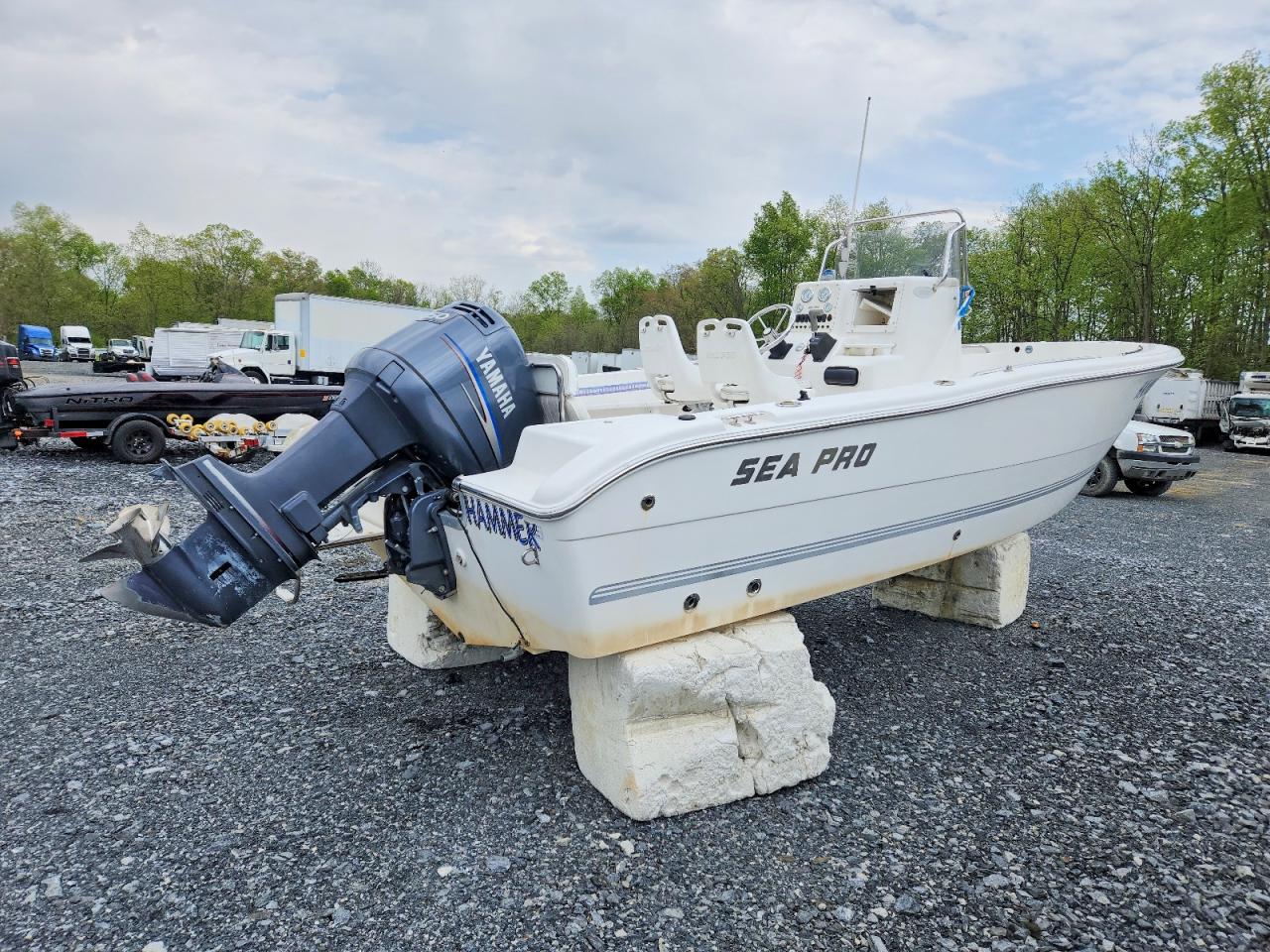 Sea Ray Boat