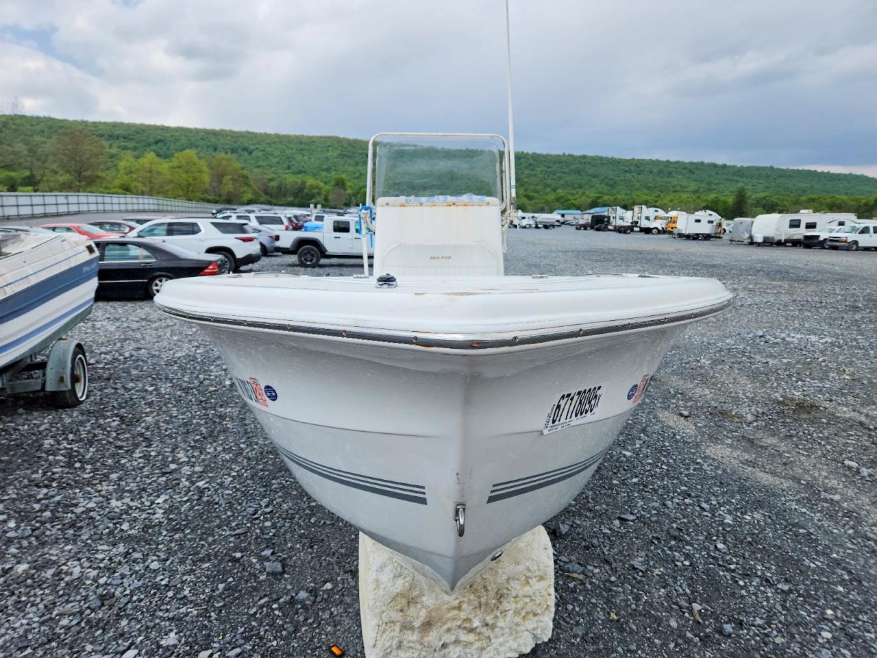 Sea Ray Boat