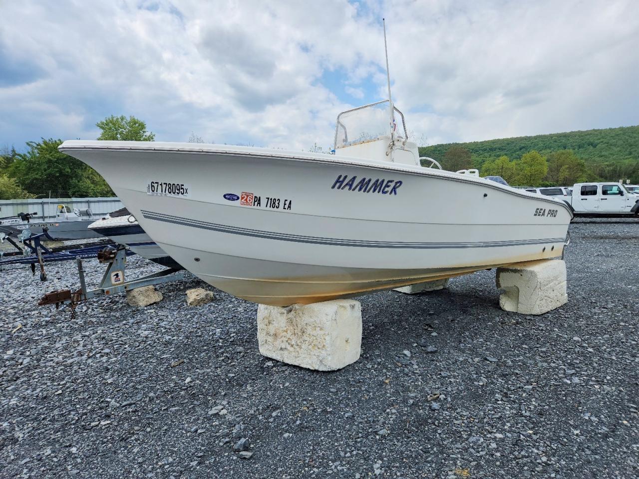 Sea Ray Boat
