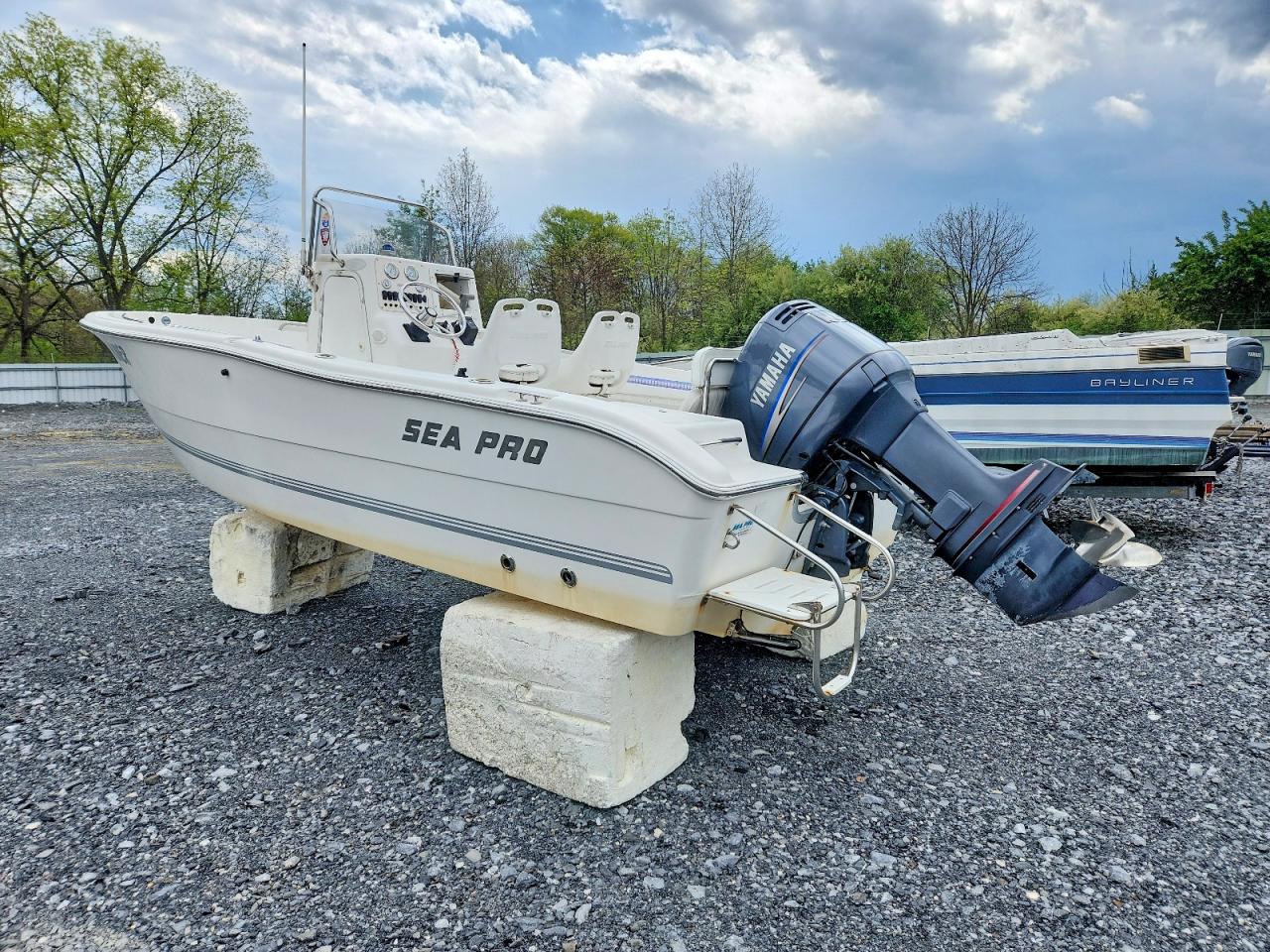 Sea Ray Boat