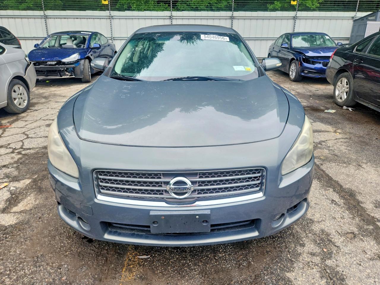 Nissan Maxima 3.5 S